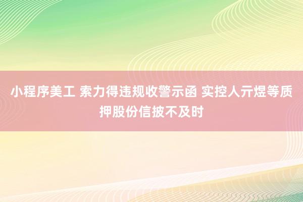 小程序美工 索力得违规收警示函 实控人亓煜等质押股份信披不及时