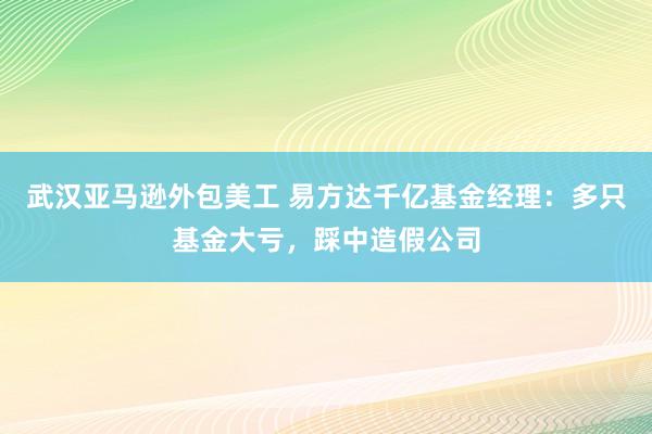 武汉亚马逊外包美工 易方达千亿基金经理：多只基金大亏，踩中造假公司