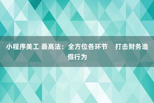 小程序美工 最高法：全方位各环节    打击财务造假行为