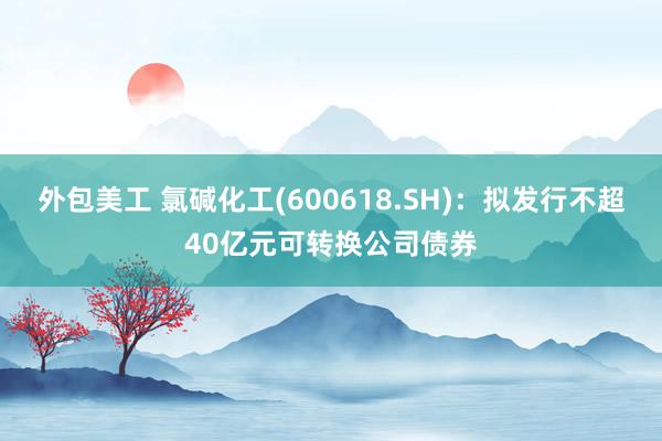 外包美工 氯碱化工(600618.SH)：拟发行不超40亿元可转换公司债券