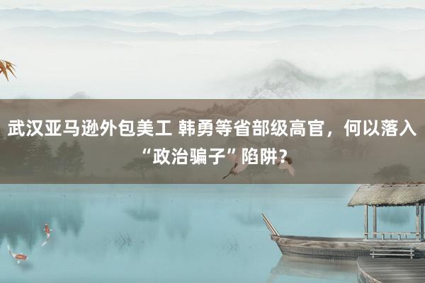 武汉亚马逊外包美工 韩勇等省部级高官，何以落入“政治骗子”陷阱？