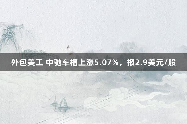 外包美工 中驰车福上涨5.07%，报2.9美元/股